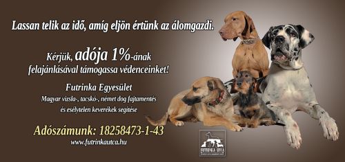 adó1% vizsla futrinka